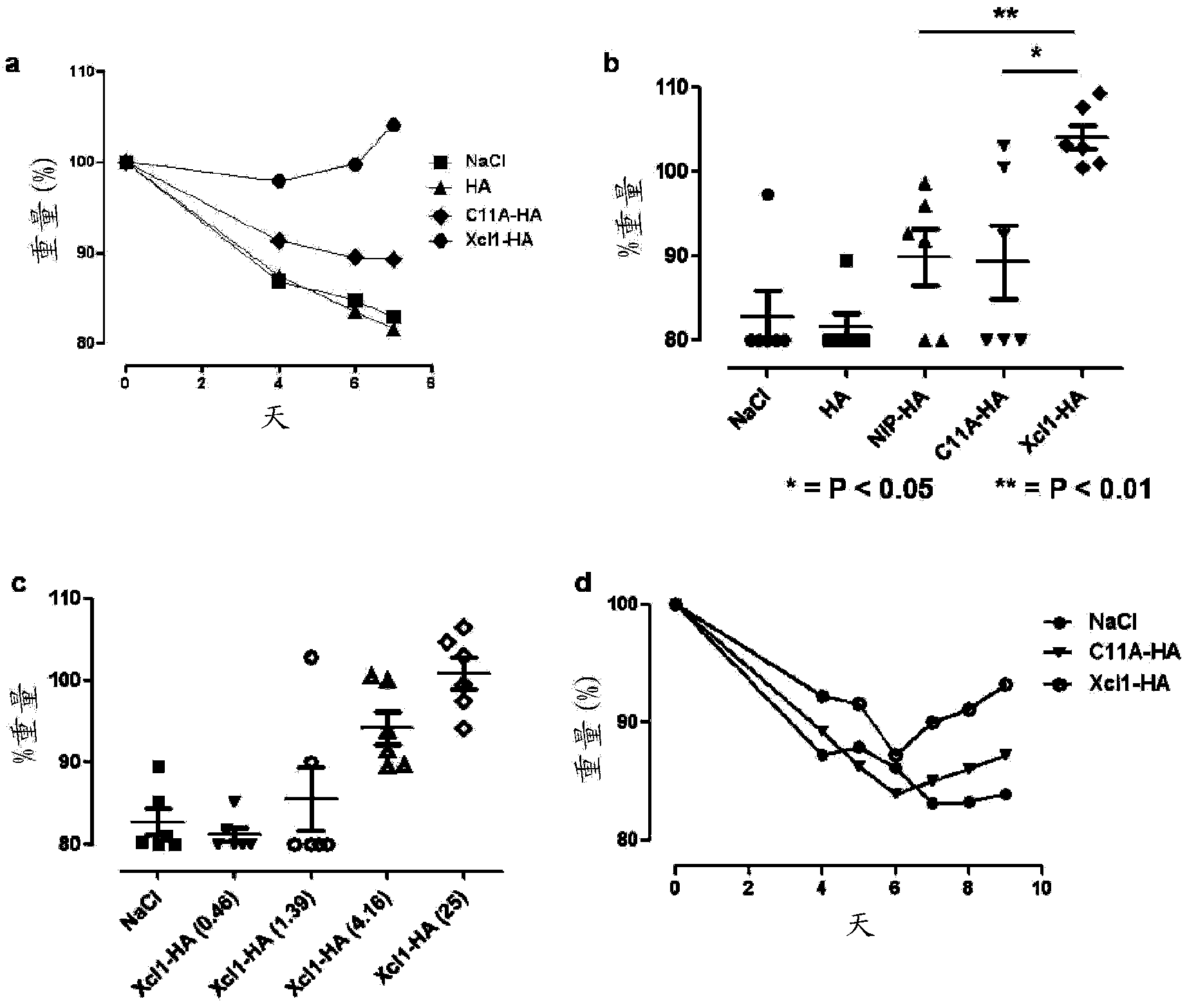 Vaccibodies targeted to cross-presenting dendritic cells