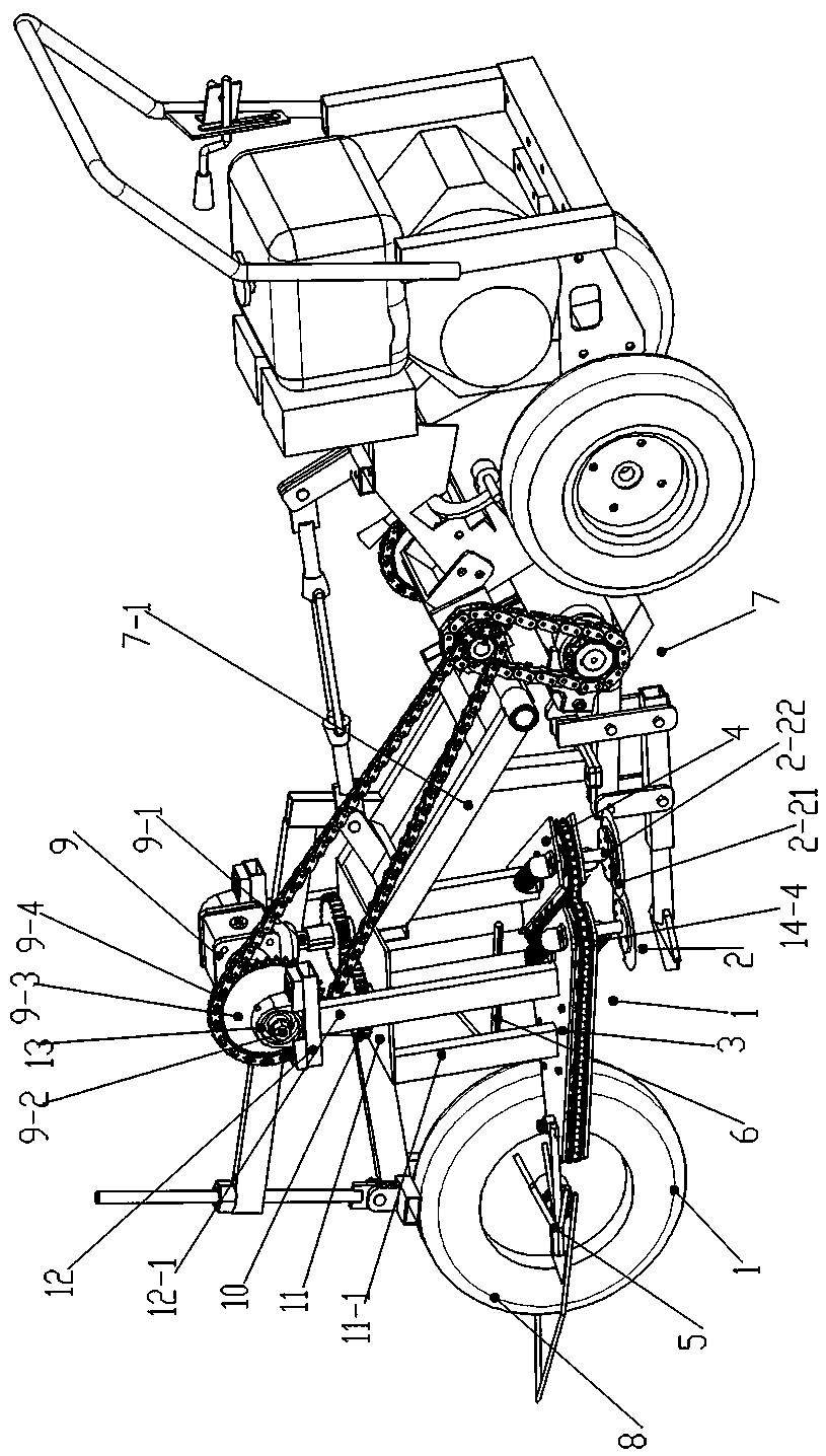 Triangular chained clamping and cutting system for small garlic harvester