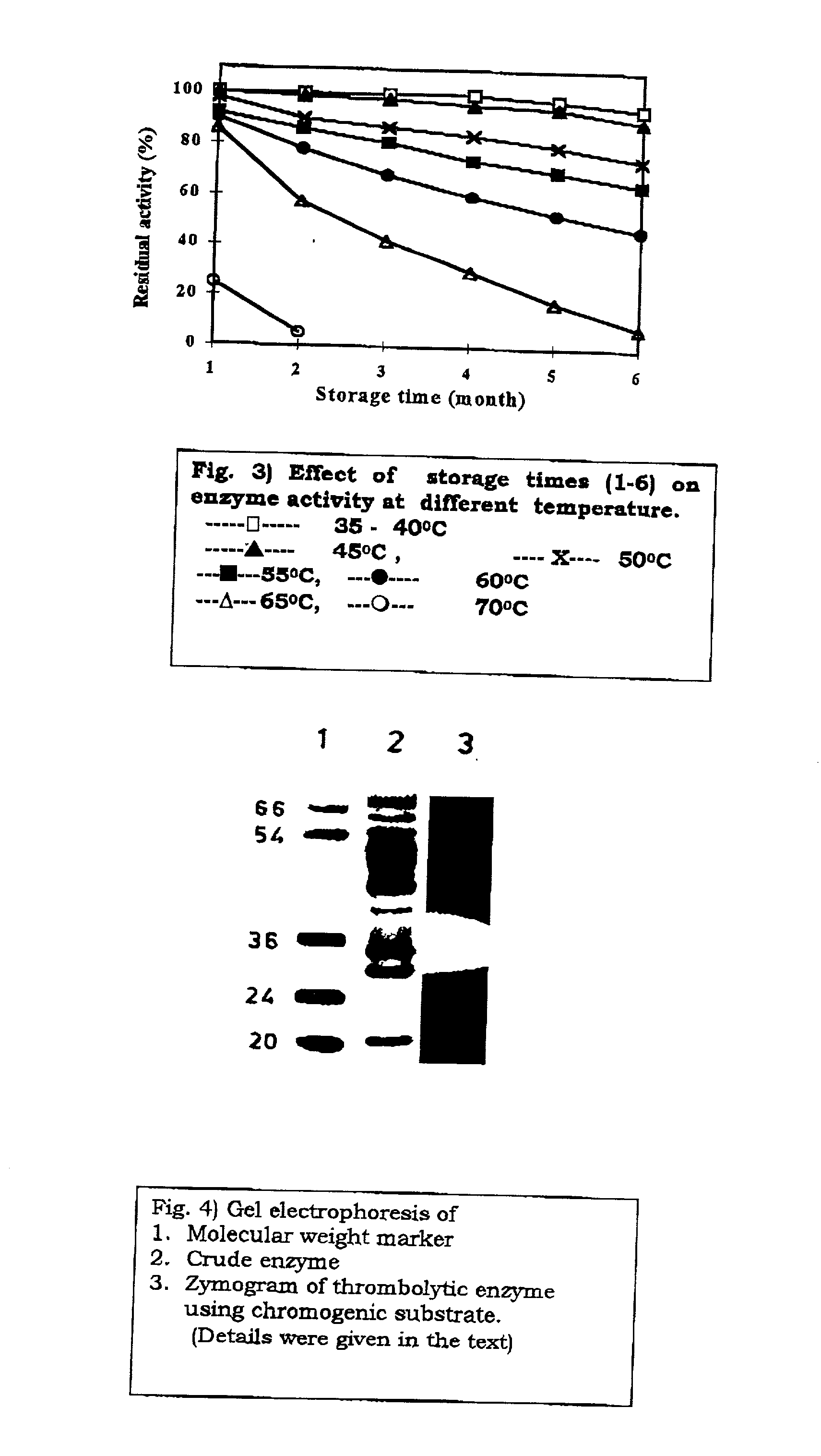 Streptomyces megasporus sd5, process for the isolation thereof, novel fibrinolytic enzyme prepared therefrom, process for the production of said enzyme and method of treatment of thrombolytic disorders using said enzyme