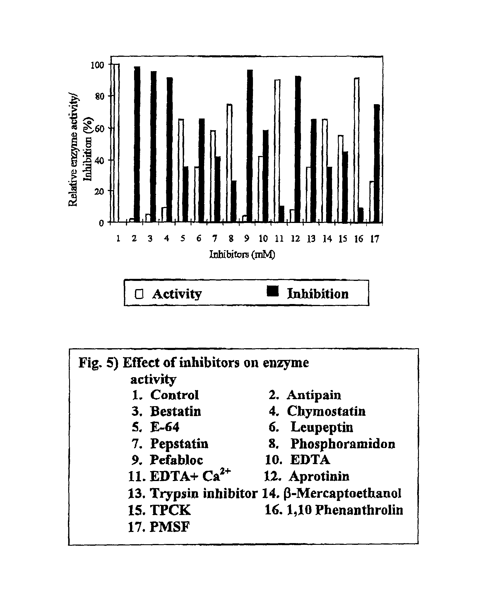 Streptomyces megasporus sd5, process for the isolation thereof, novel fibrinolytic enzyme prepared therefrom, process for the production of said enzyme and method of treatment of thrombolytic disorders using said enzyme