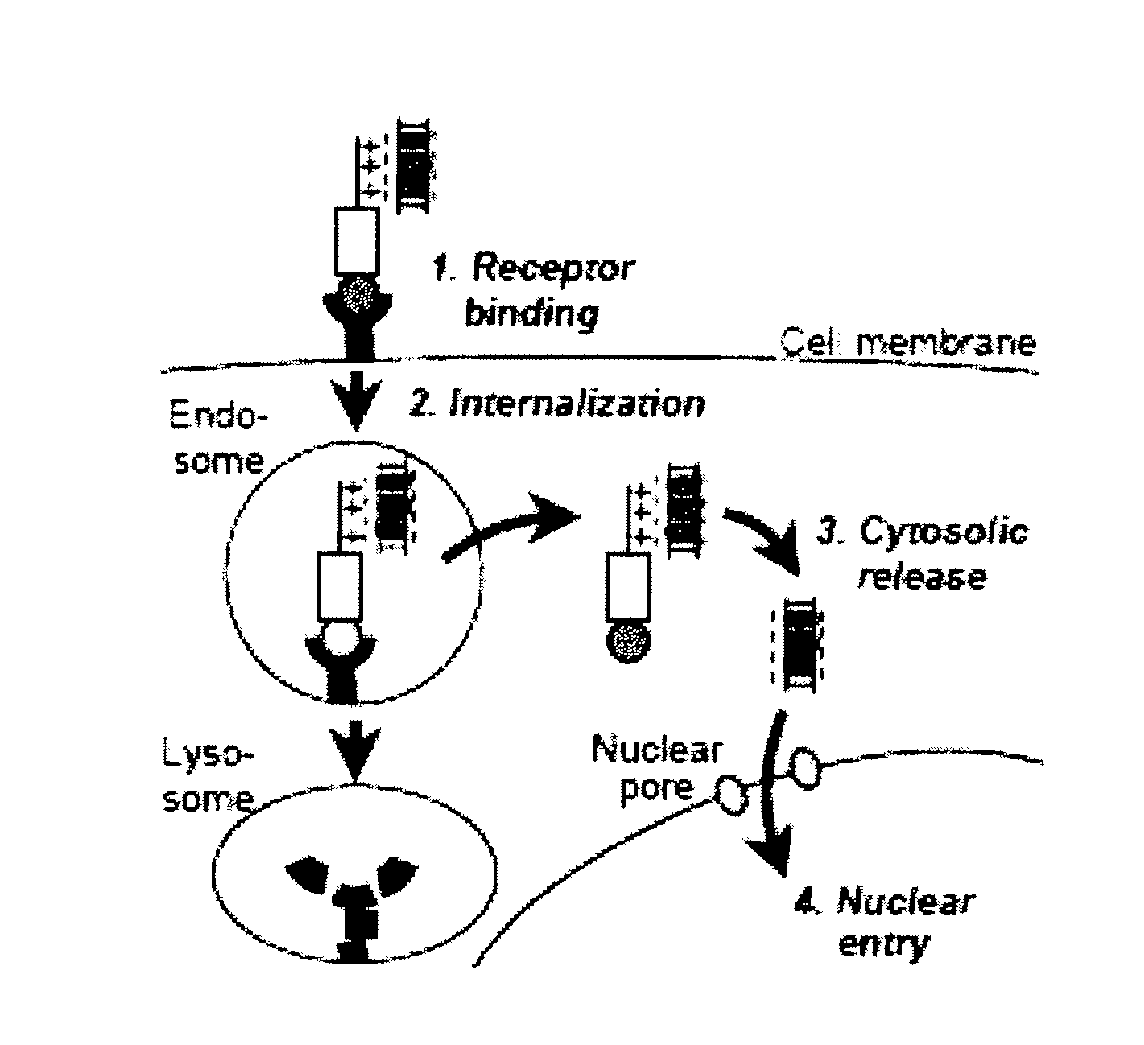 Self-assembling complex for targeting chemical agents to cells