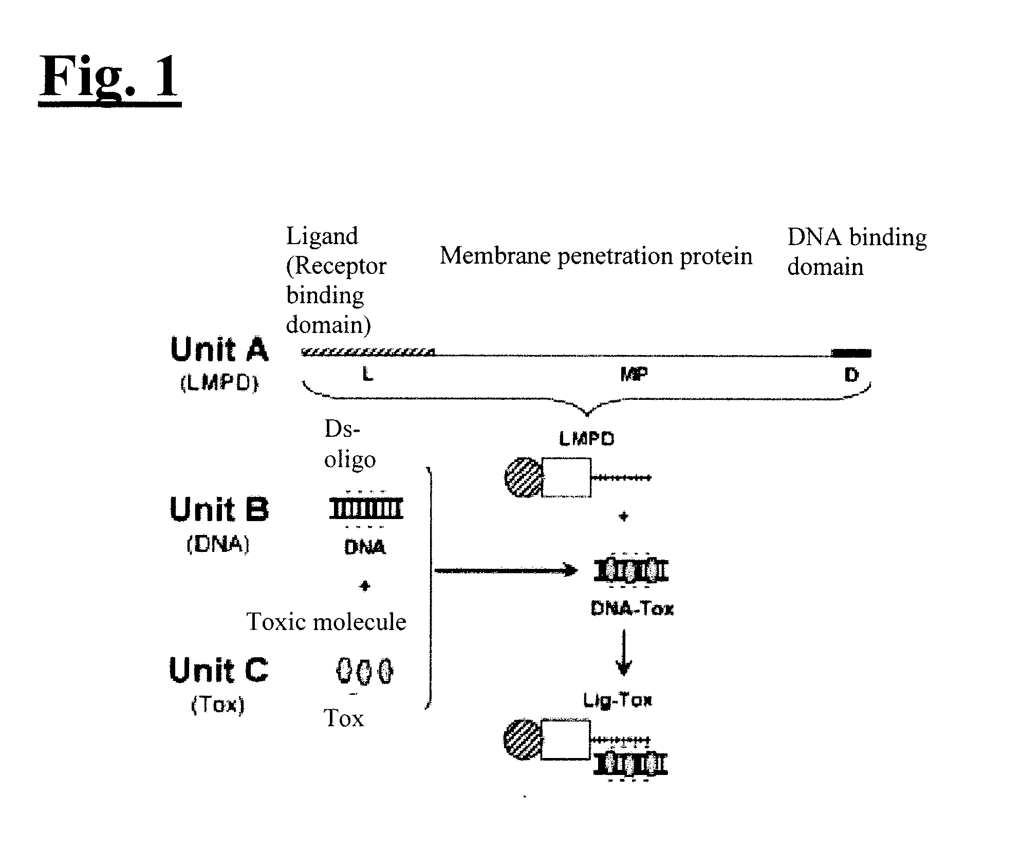 Self-assembling complex for targeting chemical agents to cells