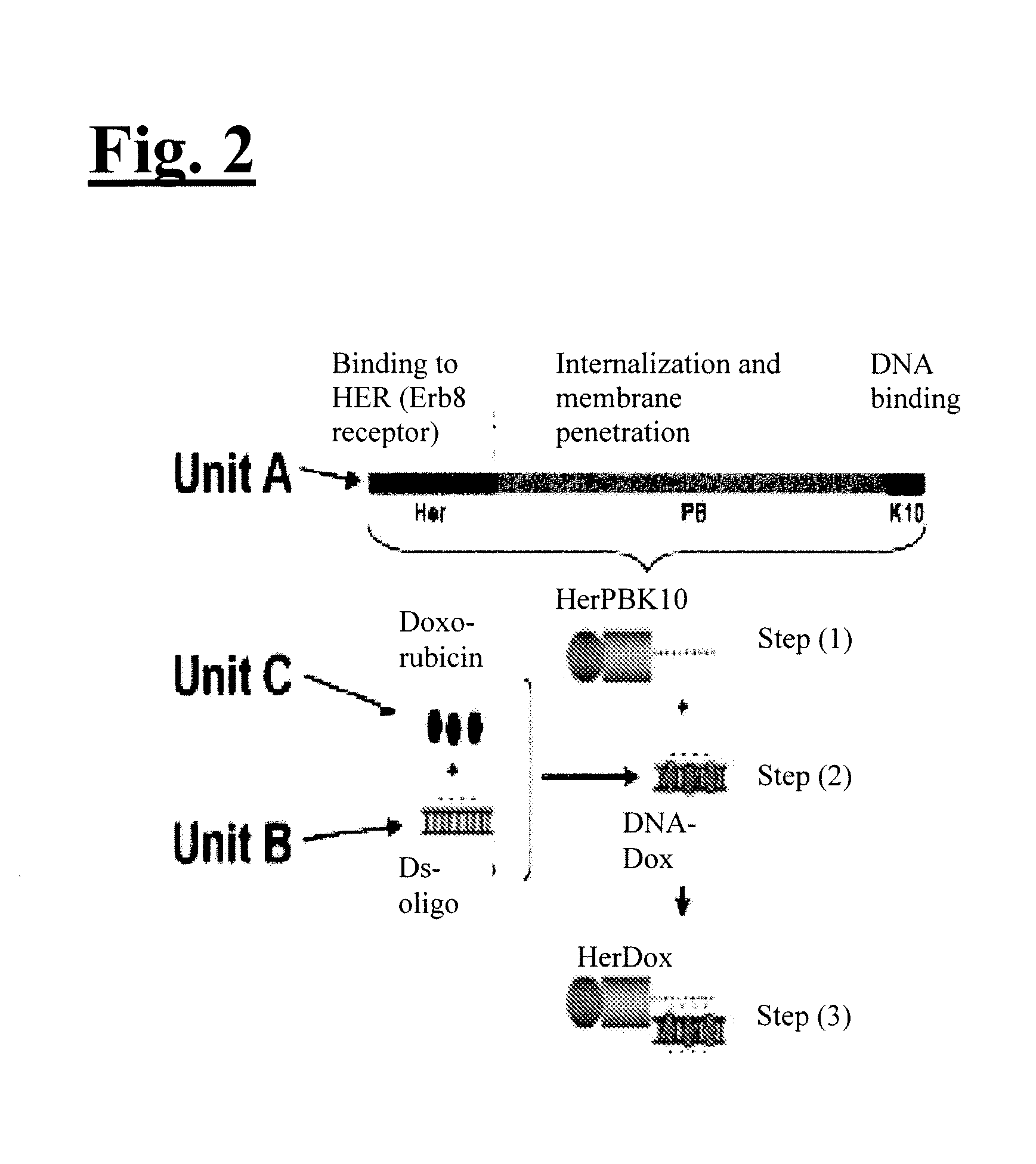 Self-assembling complex for targeting chemical agents to cells