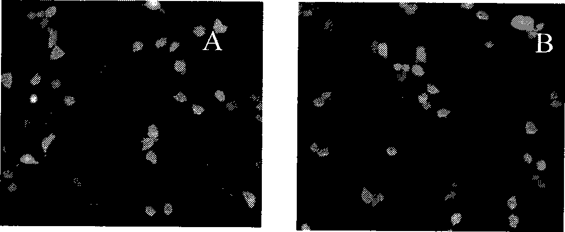 Polymethacrylate, preparation method and application thereof