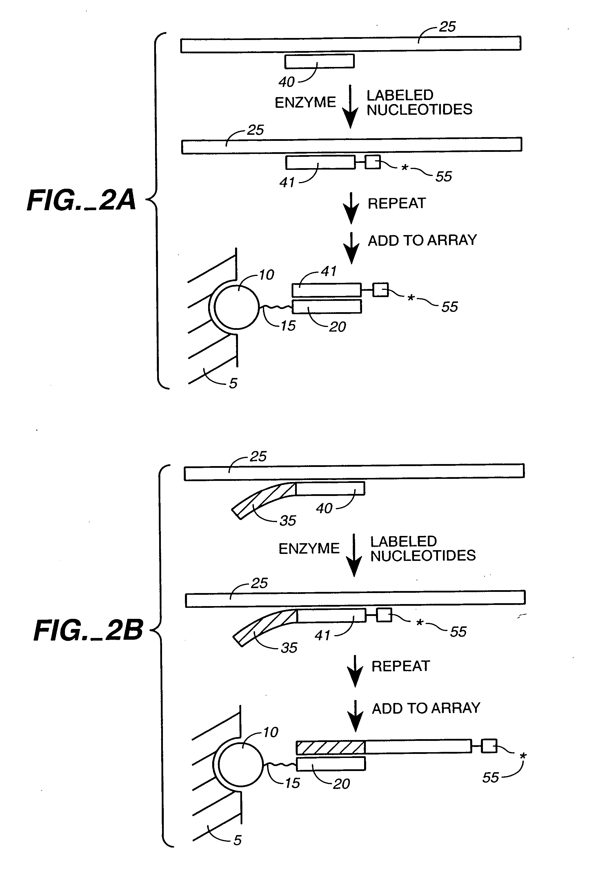 Detection of nucleic acid reactions on bead arrays