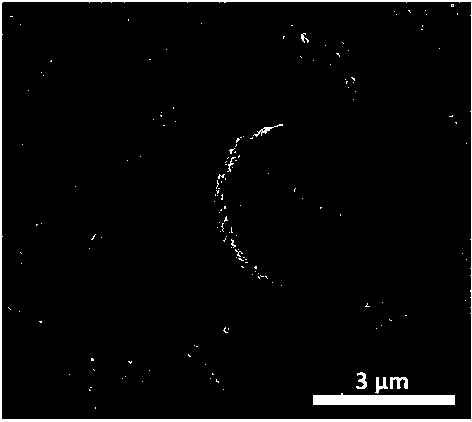 Surface-enhanced Raman substrate microspheres with micron size and preparation method thereof