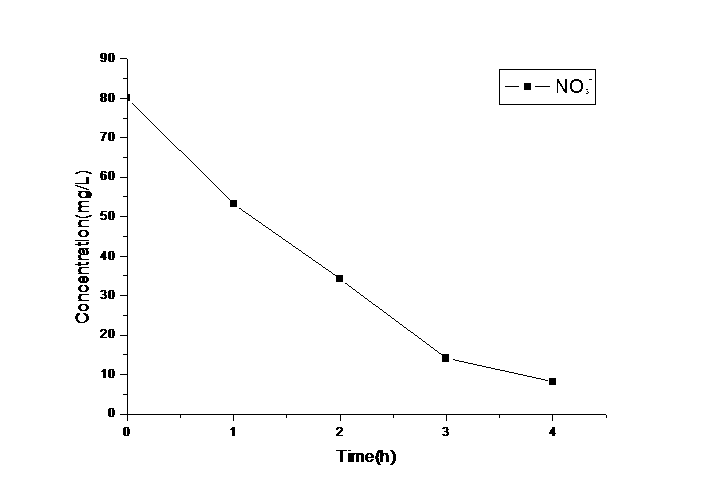 Electrochemical reactor for processing nitrogenous organic wastewater, and application and processing method thereof