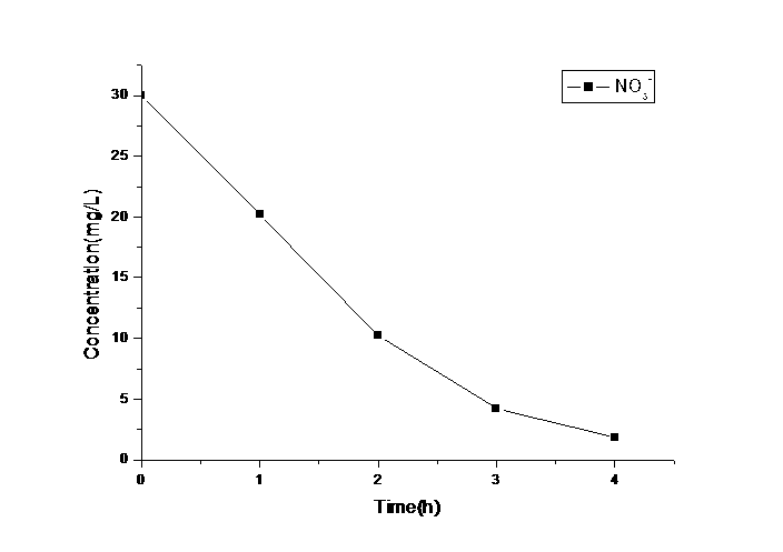 Electrochemical reactor for processing nitrogenous organic wastewater, and application and processing method thereof