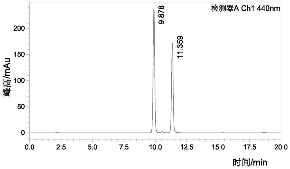 Saffron crocus fermented product as well as preparation method and application thereof