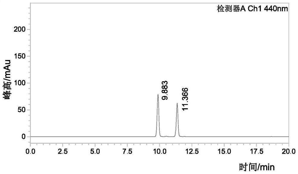 Saffron crocus fermented product as well as preparation method and application thereof