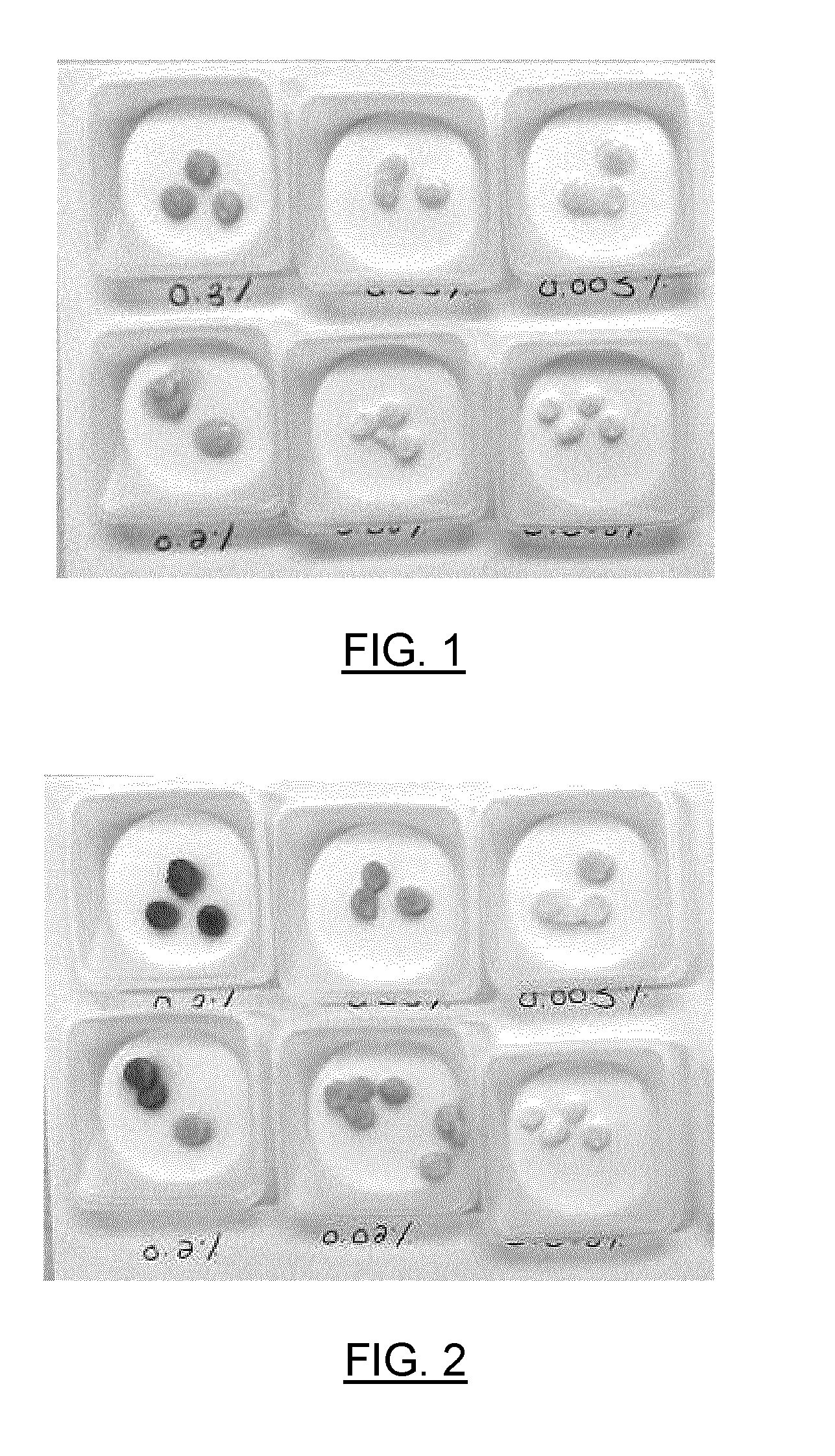 Chromogenic Absorbent Material for Animal Litter and Related Chromogenic Solution