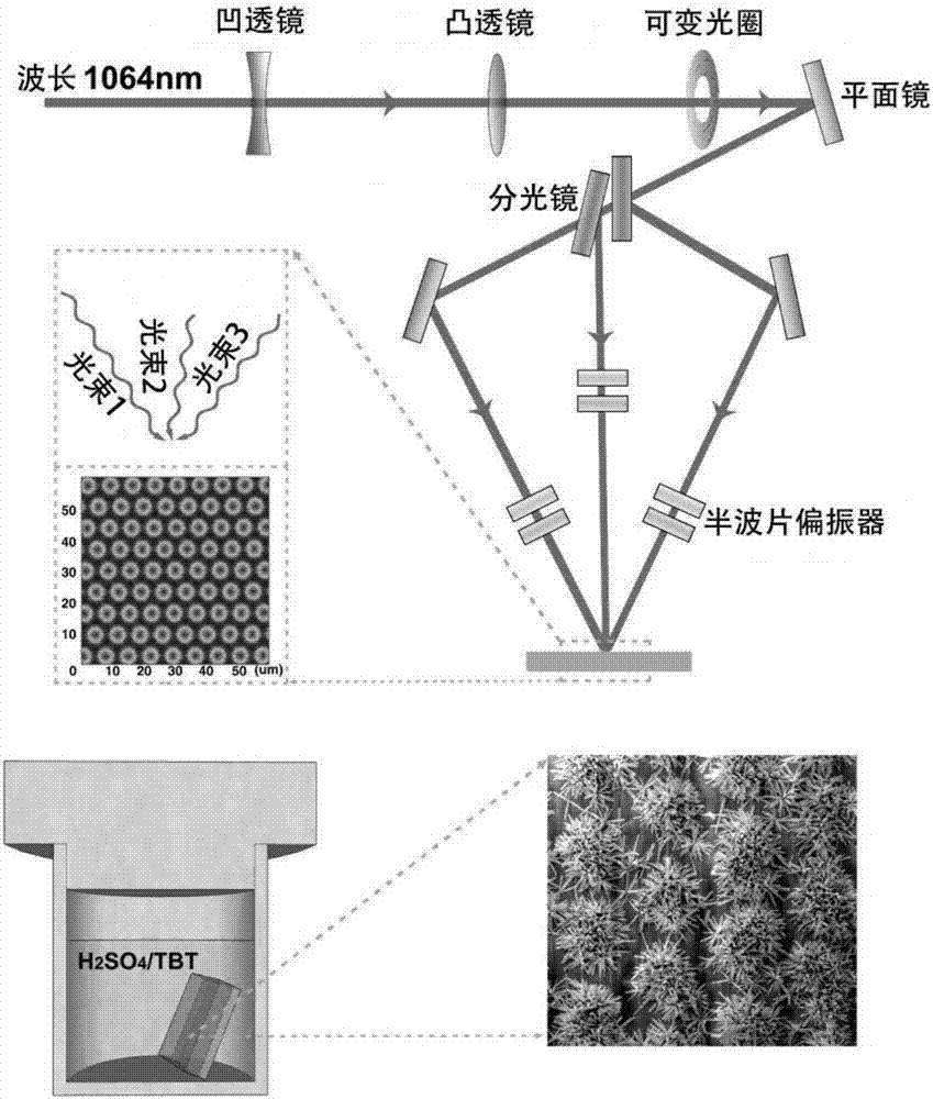 Preparation method of directionally growing titanium dioxide nano-cluster array