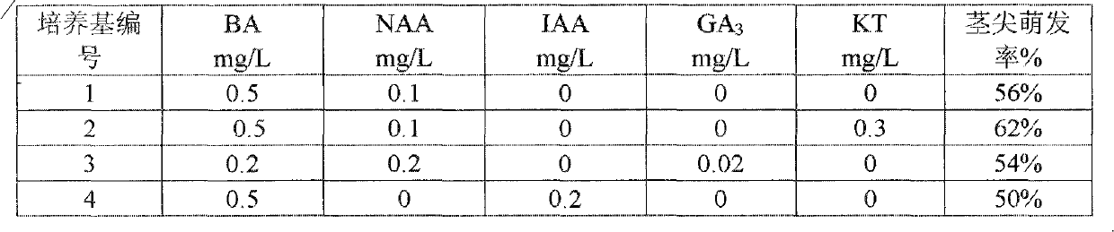 Special medium for tissue culture of strawberry stem tip and method thereof for producing detoxification seedlings