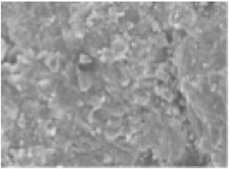 Preparation method of modified zeolite and modified zeolite prepared by method