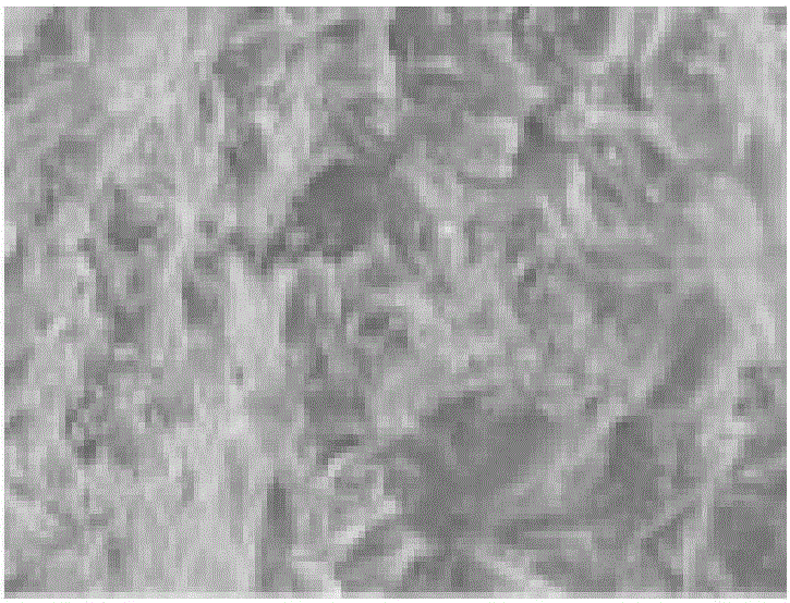 Preparation method of modified zeolite and modified zeolite prepared by method