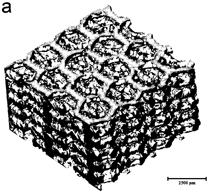 Magnesium-based composite material with titanium or titanium alloy as skeleton enhancer and preparation method of magnesium-based composite material