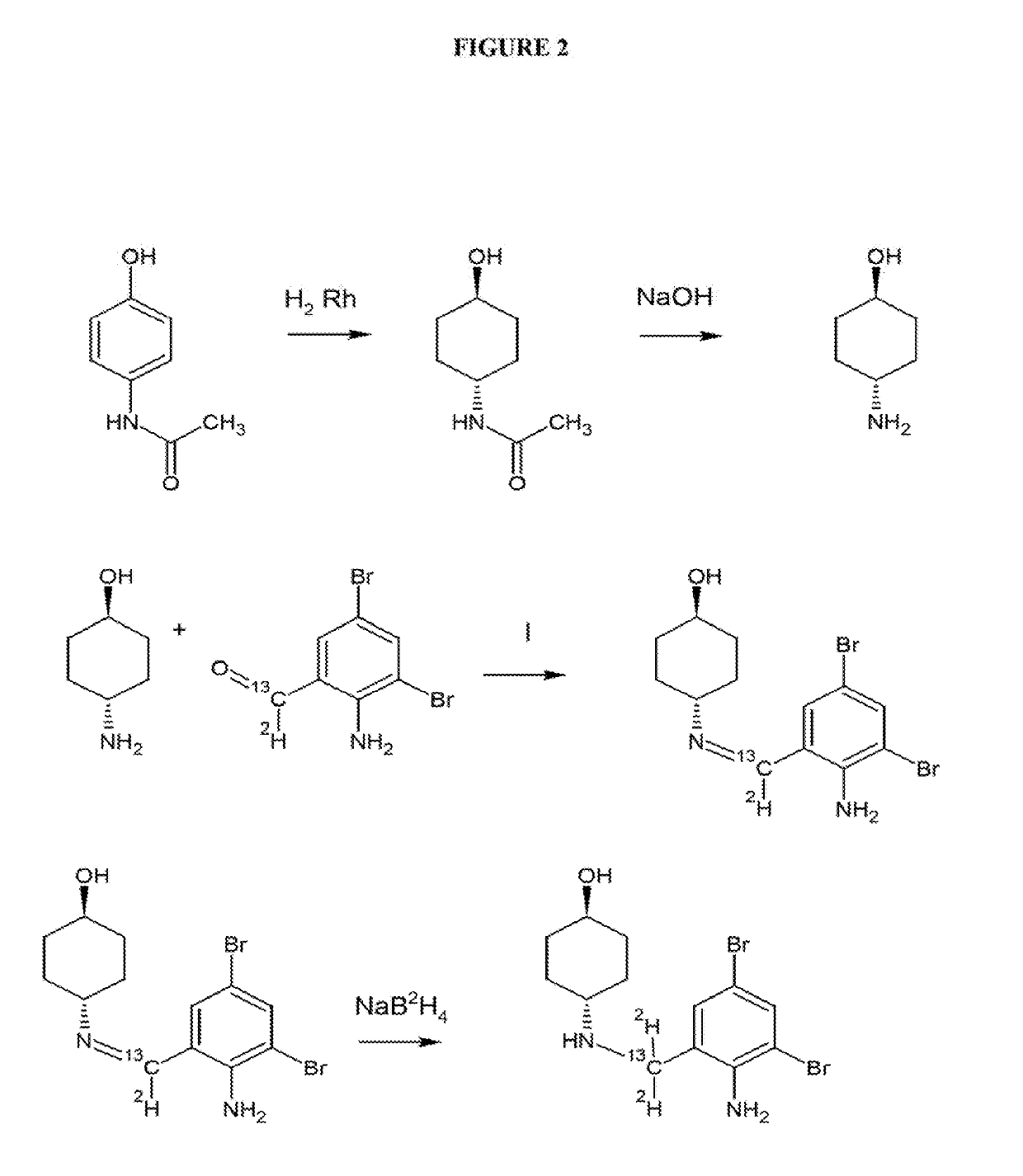 Isotope enhanced ambroxol for long lasting autophagy induction