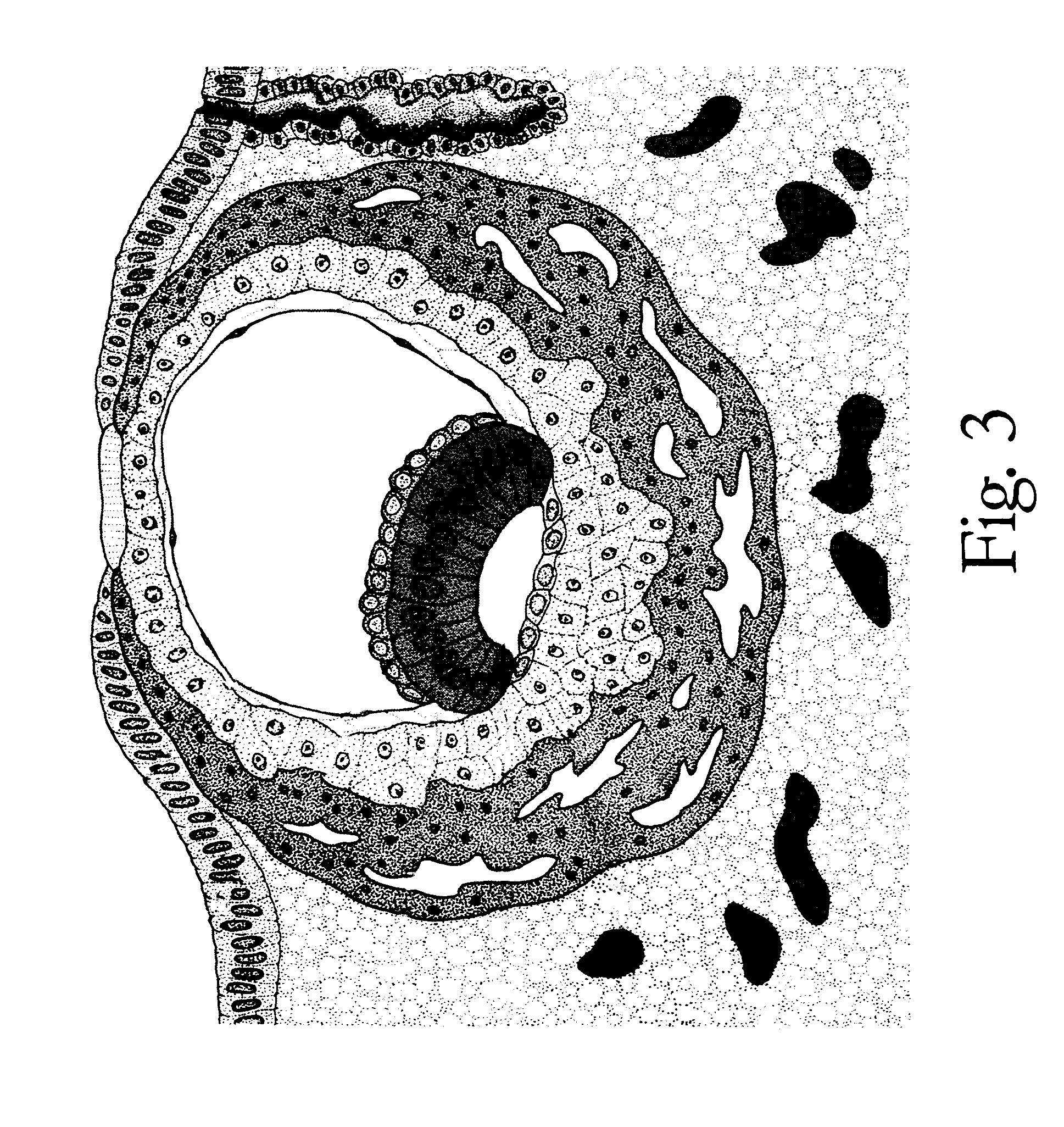 Method of making and using a library of biological material