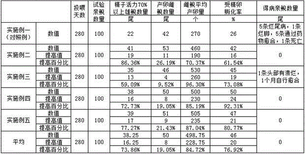 Chinese herbal medicine nutritional feed for cultivating giant salamanders