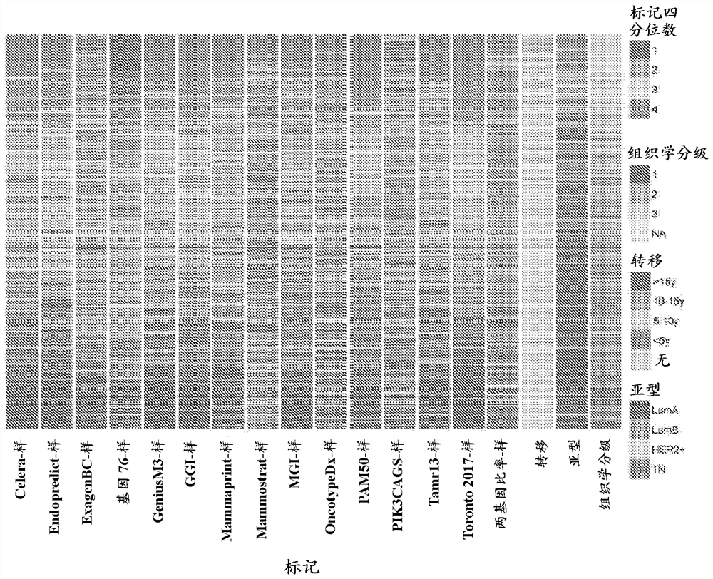 Transcriptomic profiling for prognosis of breast cancer