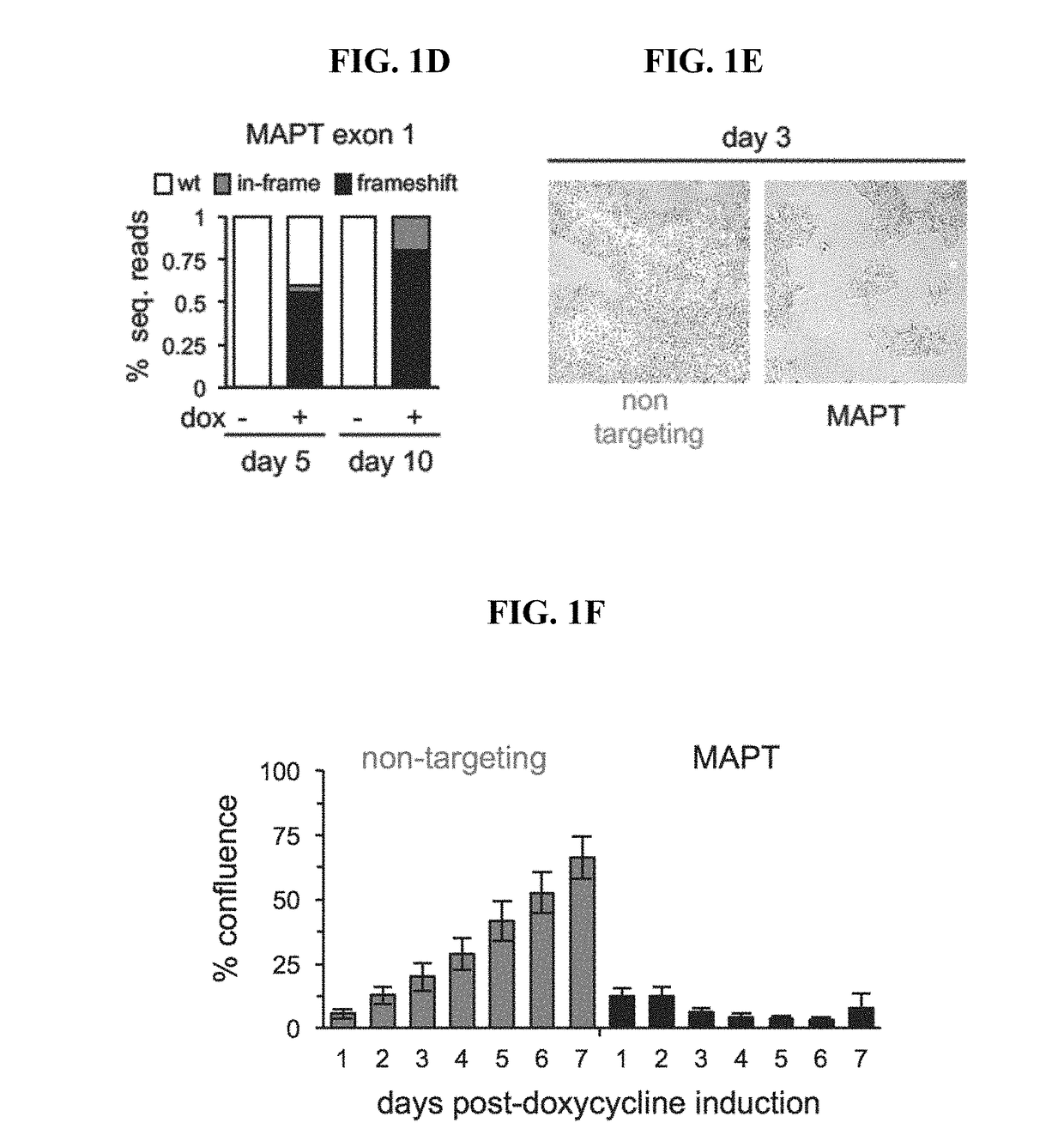 Methods and compositions for enhancing gene editing