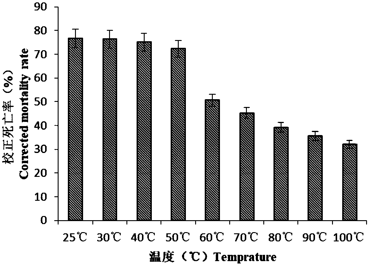 Streptomycete and application thereof