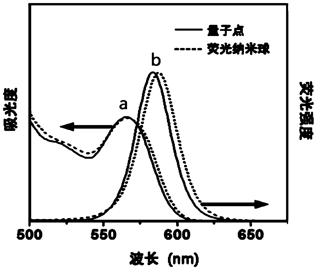 Quantum dot fluorescent nanosphere based on amphiphilic silicon carrier, and preparation method thereof