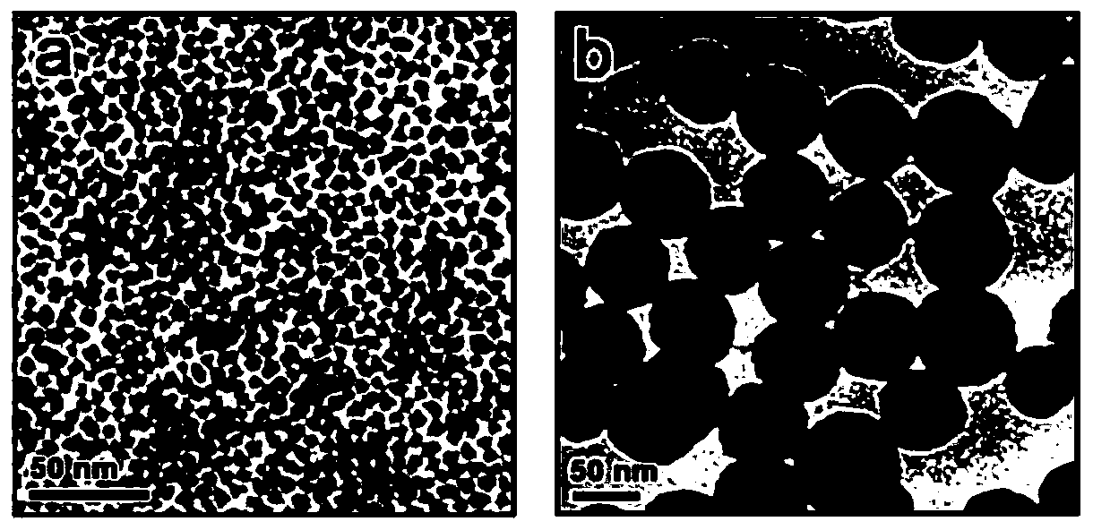 Quantum dot fluorescent nanosphere based on amphiphilic silicon carrier, and preparation method thereof