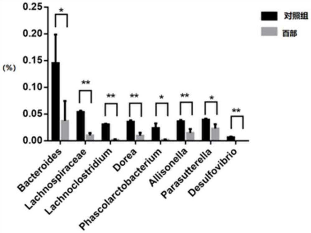 Application of radix stemonae in preparation of product for inhibiting proliferation of intestinal flora