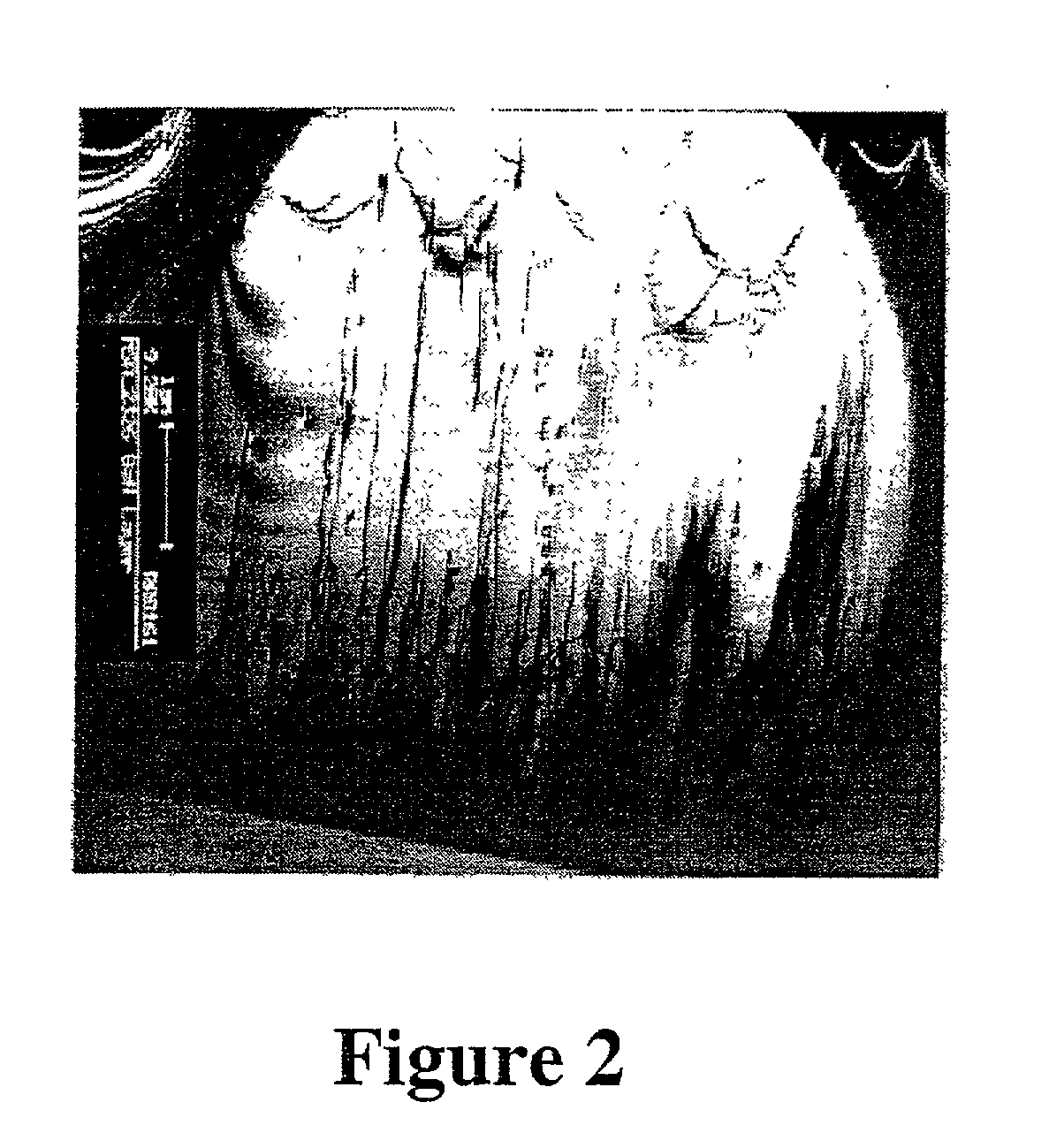 Low defect density (Ga, Al, In) N and HVPE process for making same