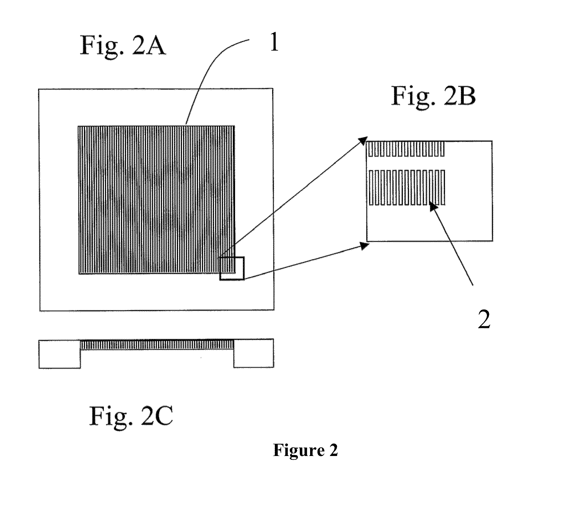 Methods and compositions for separating rare cells from fluid samples