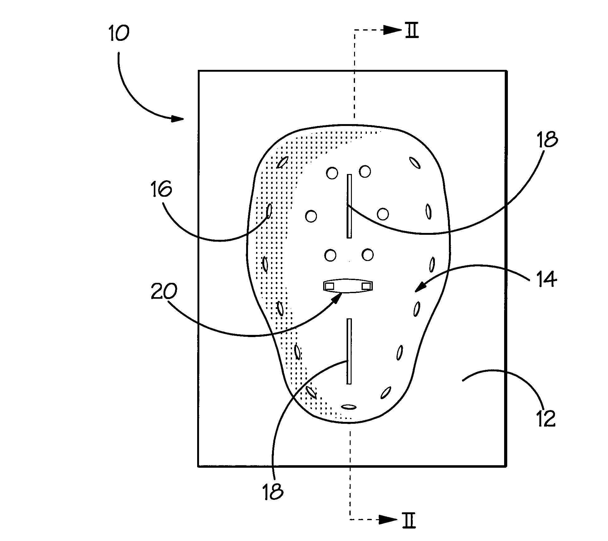 Facial wetting apparatus