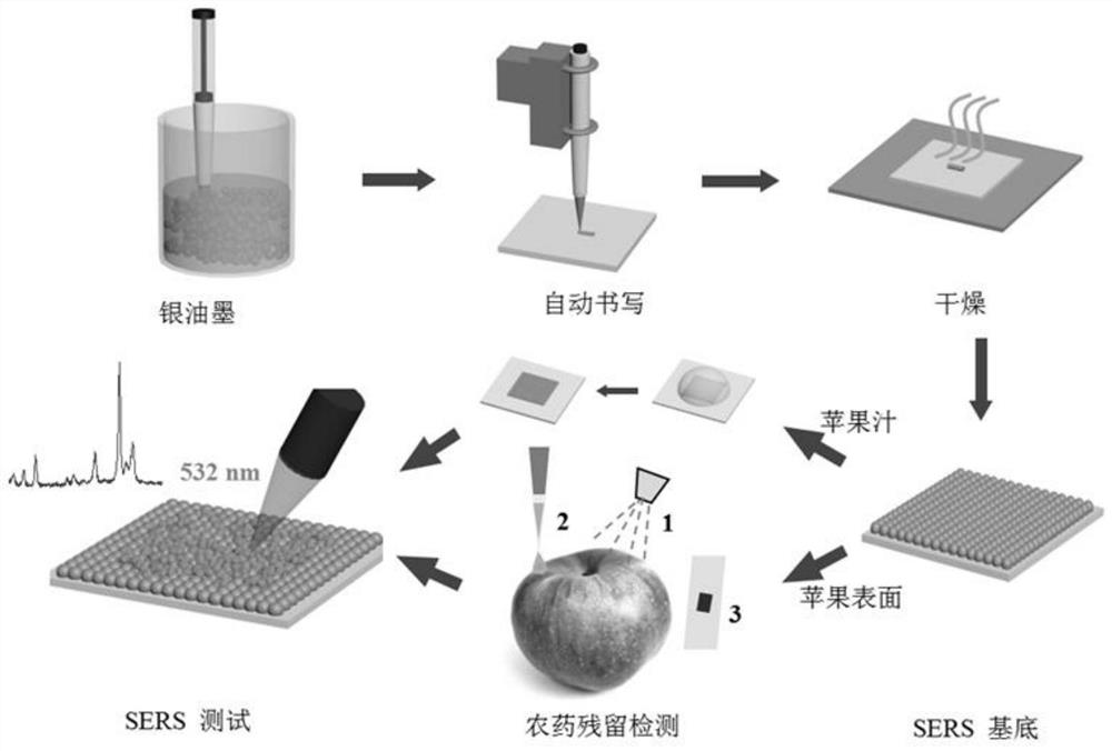 Preparation method and application of automatic writing type SERS substrate