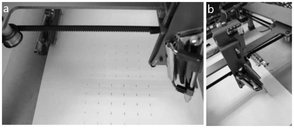 Preparation method and application of automatic writing type SERS substrate