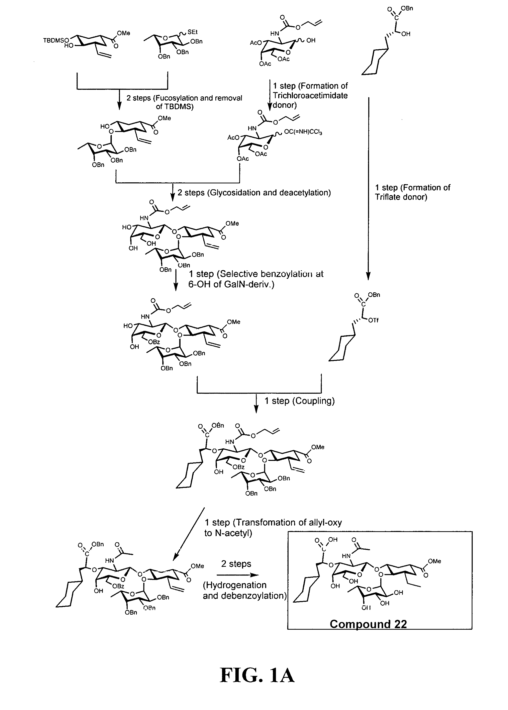 E-selectin antagonist compounds, compositions, and methods of use