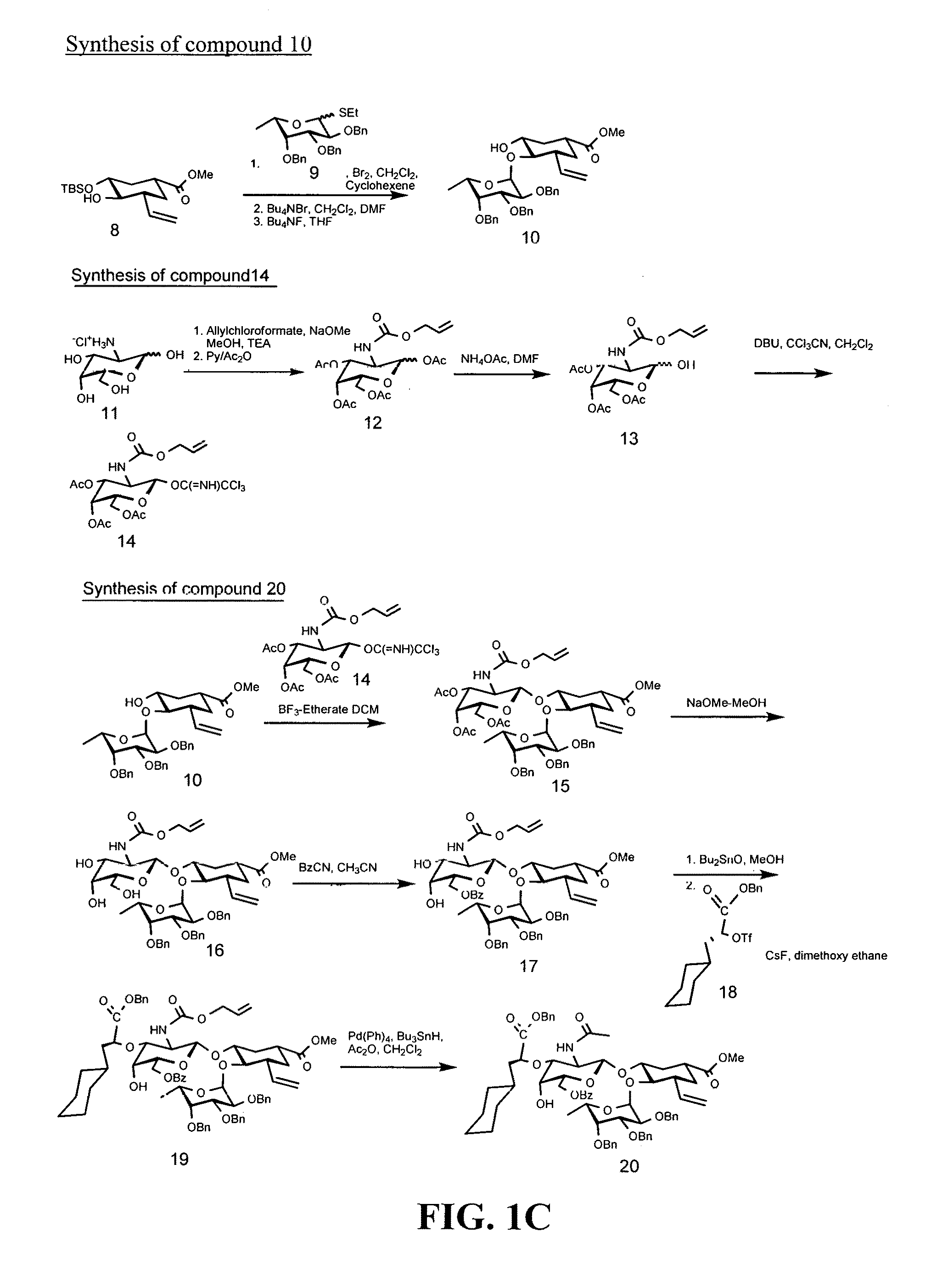 E-selectin antagonist compounds, compositions, and methods of use