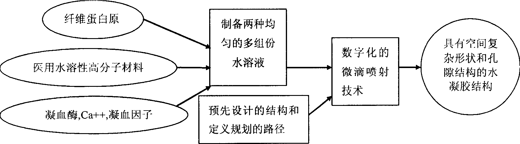 Water gel fast forming process based on bionic process