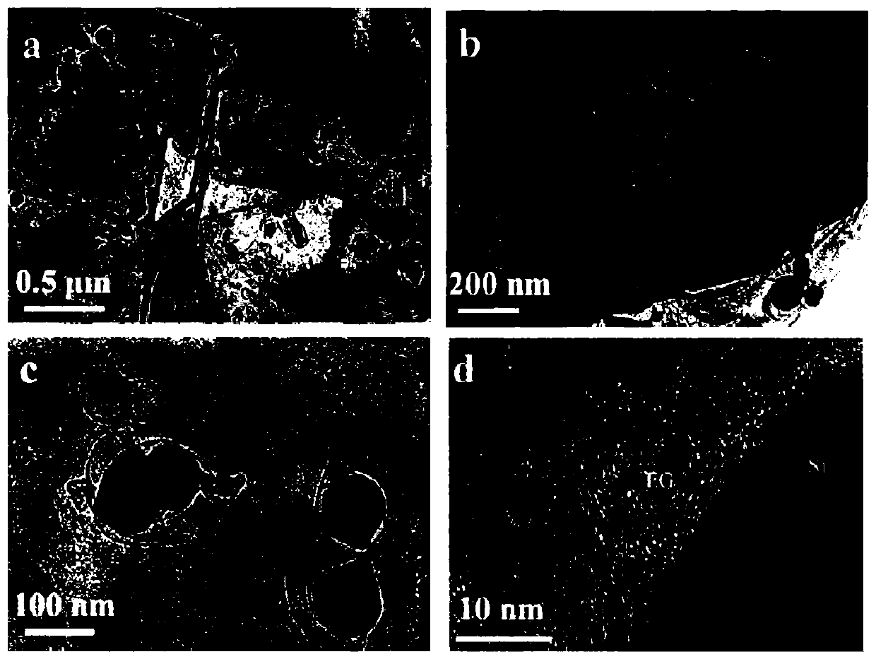 A preparation method of expanded graphite/silicon@carbon negative electrode material for lithium ion battery