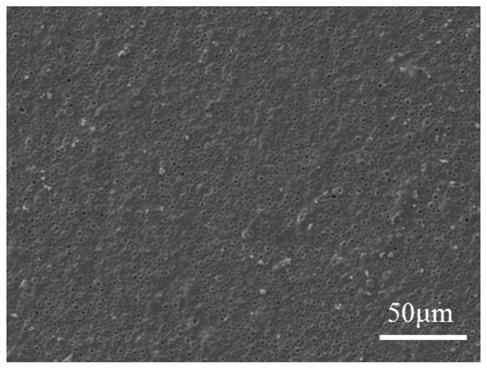 Preparation method of yellow corrosion-resistant ceramic membrane grown in situ on surface of aluminum matrix composite material