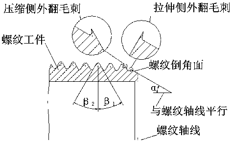 Thread processing insert and processing method thereof