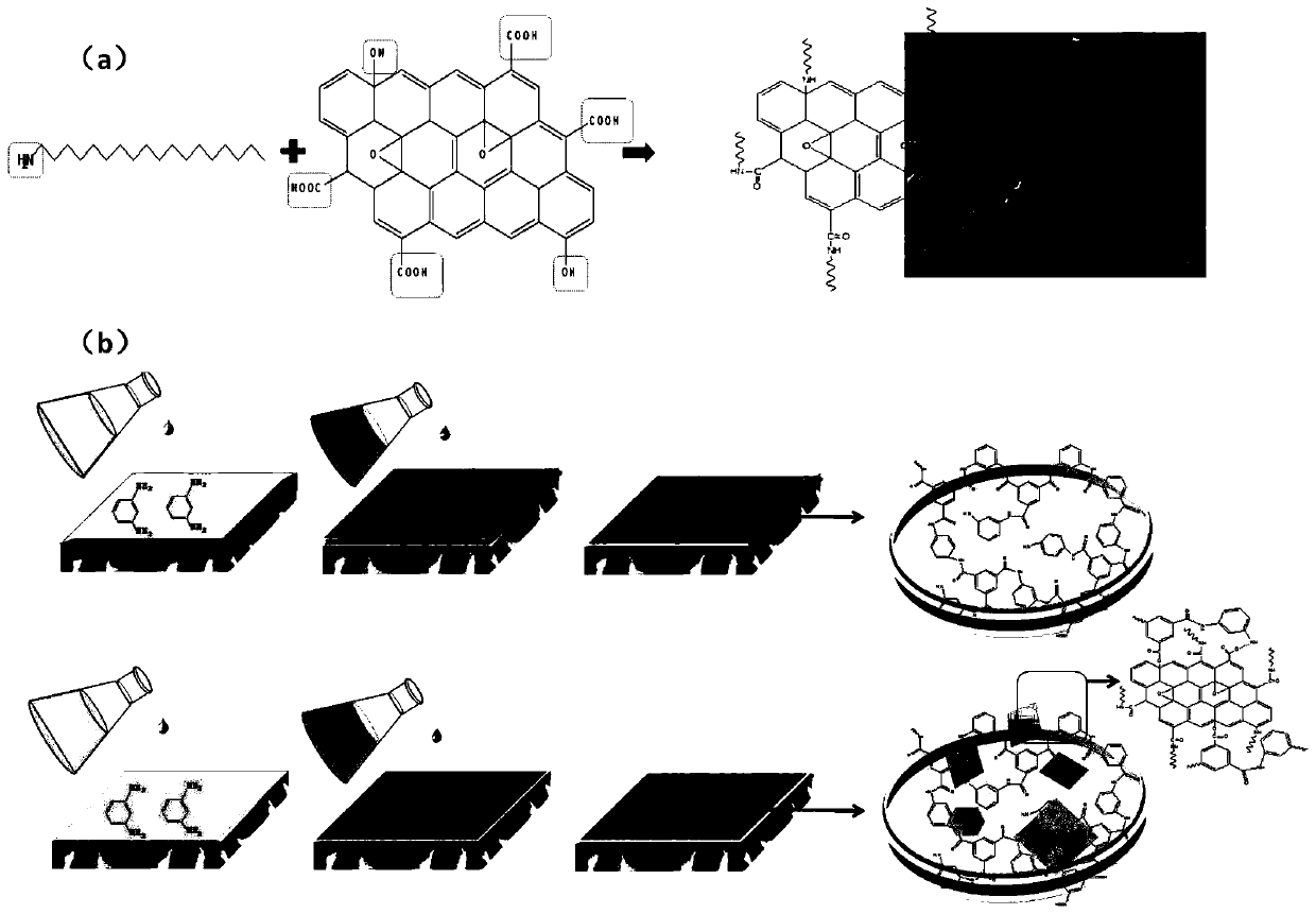 Preparation method of hydrophobic modified graphene oxide reverse osmosis membrane