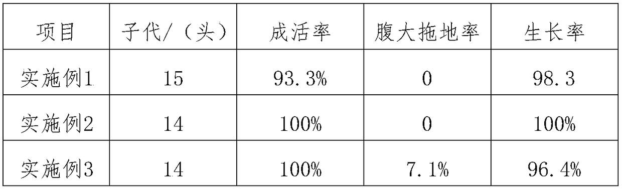 Breeding method for high-quality Luchuan pigs