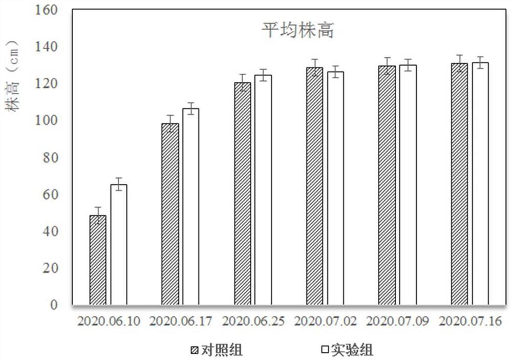 Tobacco bacterial wilt prevention and growth promotion compound microorganism effervescent tablet as well as preparation method and application thereof