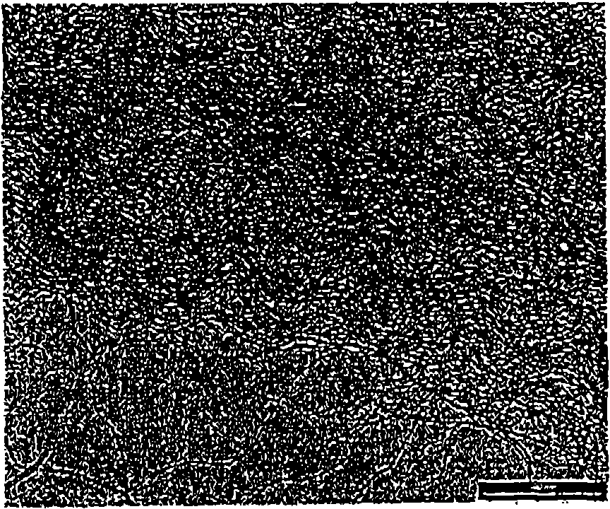 Polymeric compositions containing nanotubes