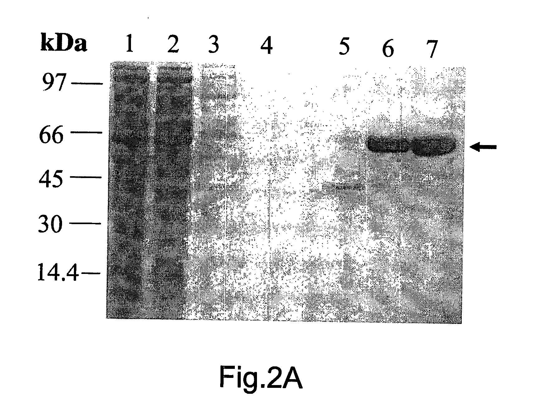 Inositol Biotransformation