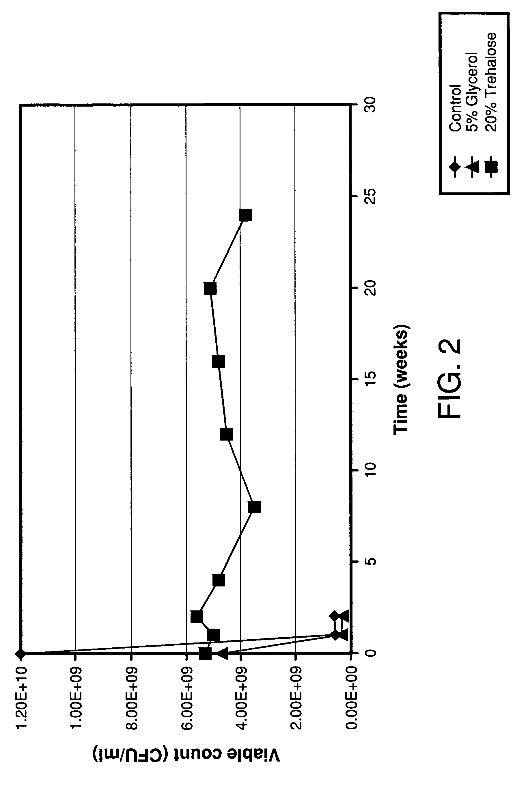 Enhanced shelf life and on seed stabilization of liquid bacterium inoculants