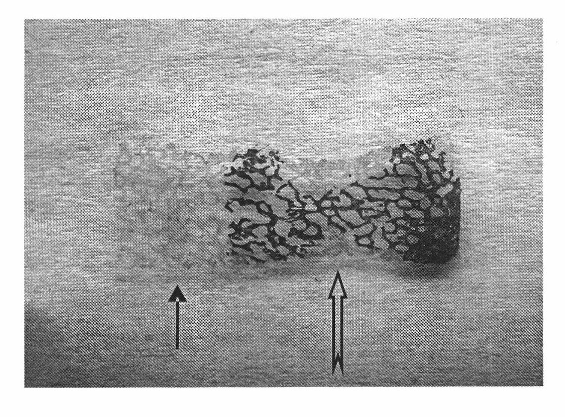 Tissue engineered bone cartilage frame and preparation method thereof