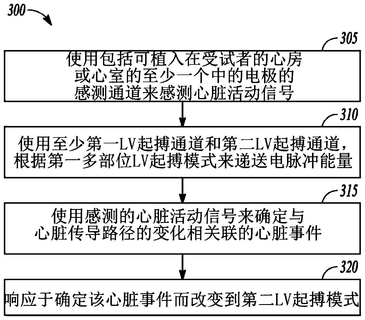 Conduction pathway driven multi-site pacing apparatus