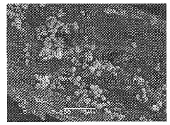 Method for preparing anti-UV fabric by in-situ method