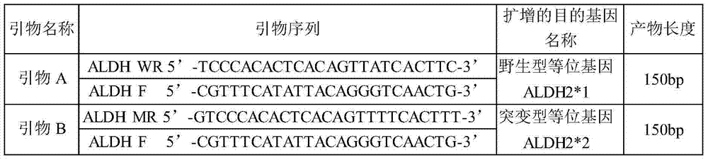 Human ALDH2 genotype detection kit